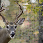 CLOSEOUT - Deer Netting