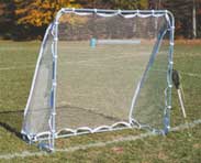 Goal Nets and Frames