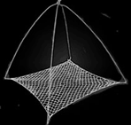 Crawfish Net
