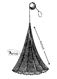 Herring-Shad-Shrimp Mono Cast Net 1-2- Mesh