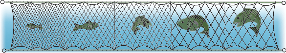 CLOSEOUT - Experimental Nets
