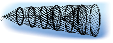 CLOSEOUT - Hoop Nets